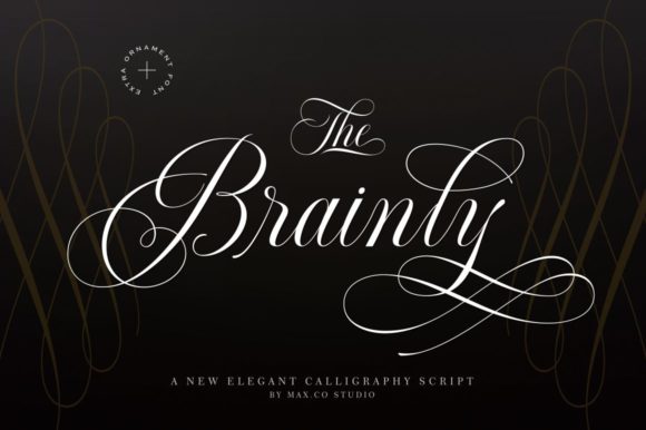 Brainly: A Script Font That Elevates Digital Branding