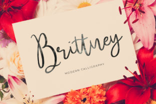 Brittney: A Modern Calligraphy Font for Web Design