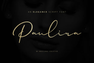 Paulina: The Font That Made My Brand Feel More Real