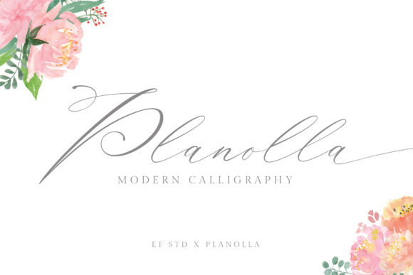 Planolla: A Script Font That Elevates Branding