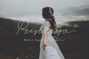Princessa Font for Web Design: A Romantic Display Typeface